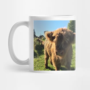 Scottish Highland Cattle Calf 1494 Mug